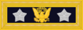 谢尔曼于1872年至1888年间佩戴的军衔标识