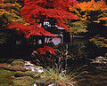 日本南禪寺方丈庭園紅葉