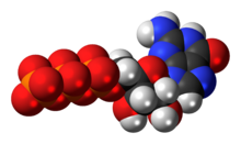 Space-filling model of the guanosine triphosphate anion