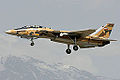 伊朗F-14A