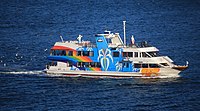 志摩海洋娛樂的觀光遊覽船－花美人魚